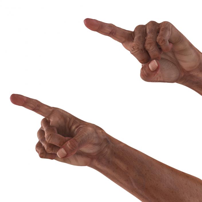 3D model Old Man Hands Pose 2