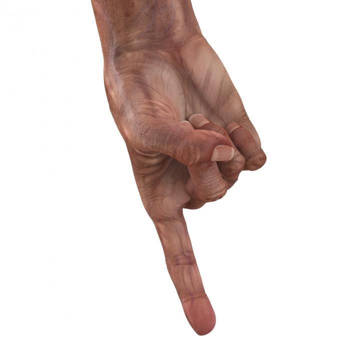 3D model Old Man Hands Pose 2