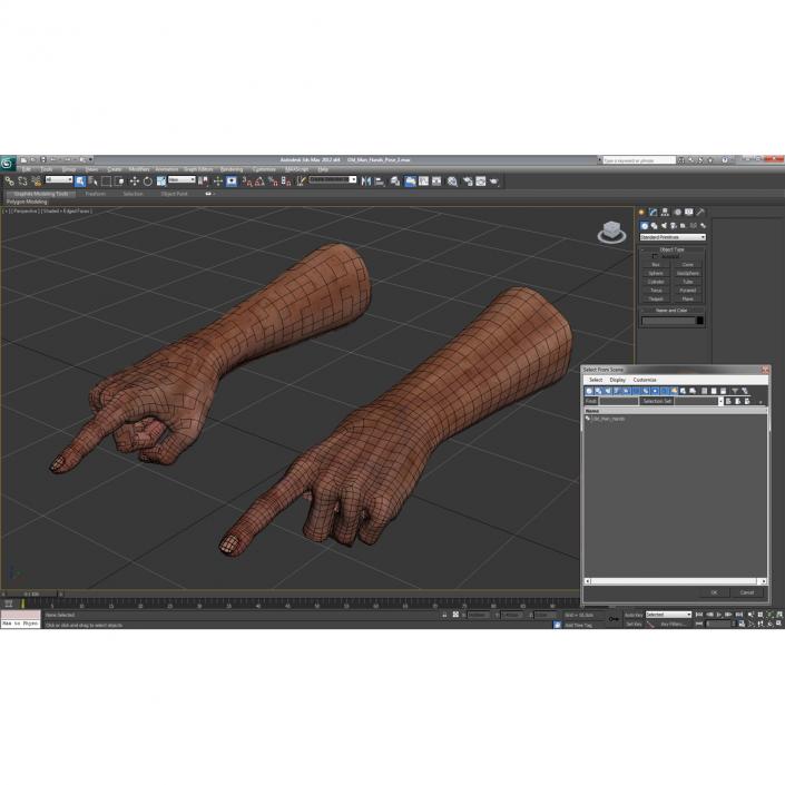 3D model Old Man Hands Pose 2