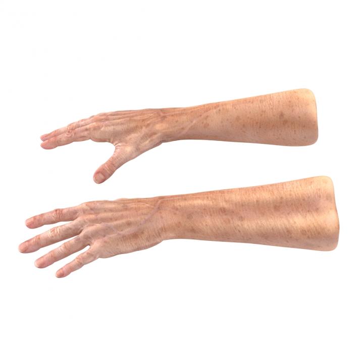 3D model Old Man Hands 3