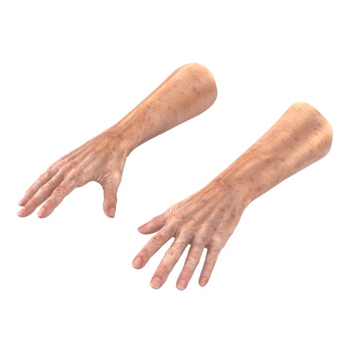 3D model Old Man Hands 3