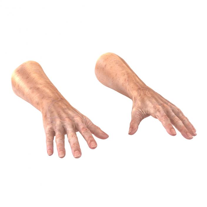 3D model Old Man Hands 3