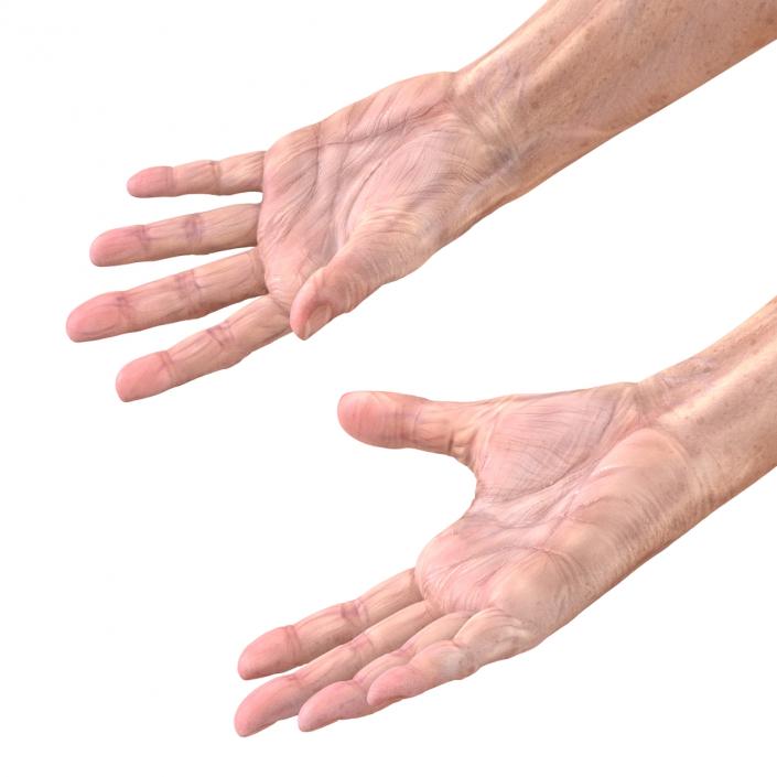 3D model Old Man Hands 3