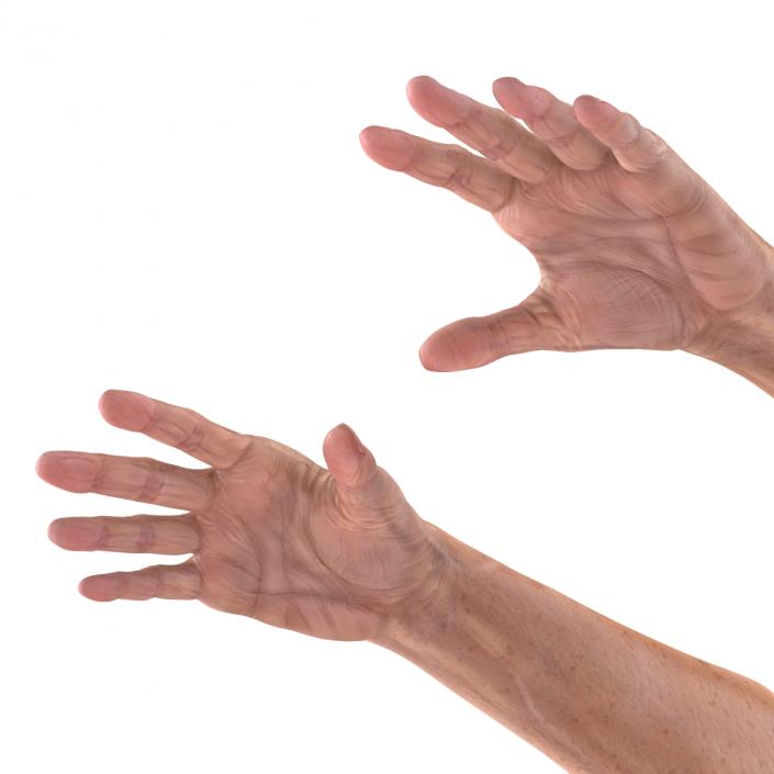 3D model Old Man Hands 3