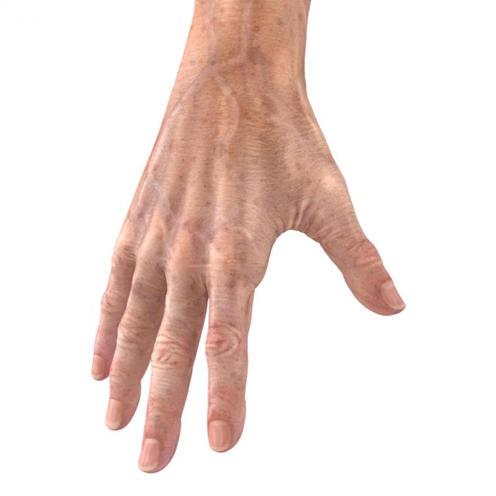 3D model Old Man Hands 3