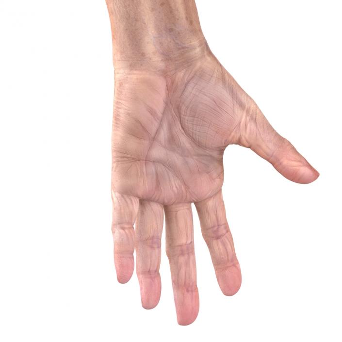 3D model Old Man Hands 3