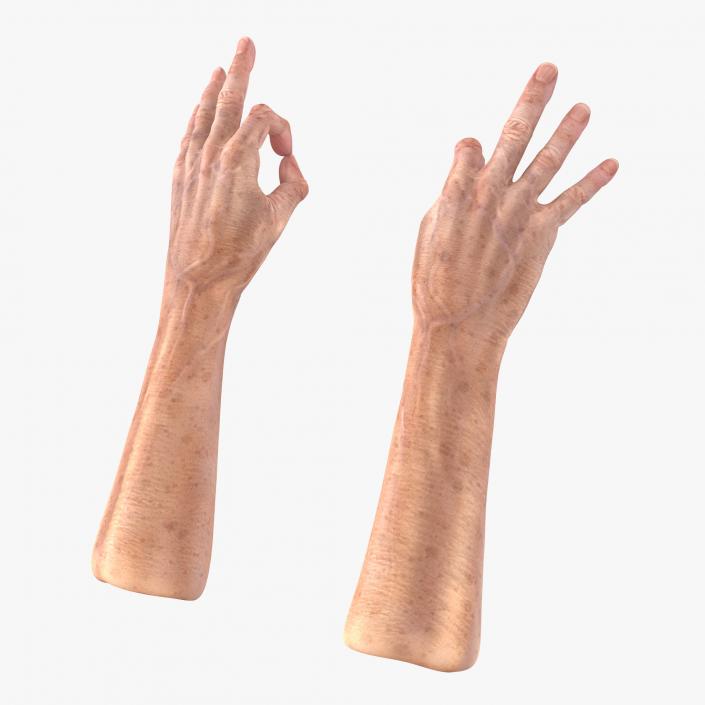 Old Man Hands 3 Pose 5 3D