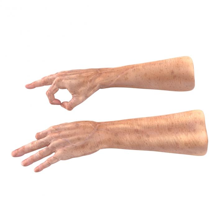 Old Man Hands 3 Pose 5 3D