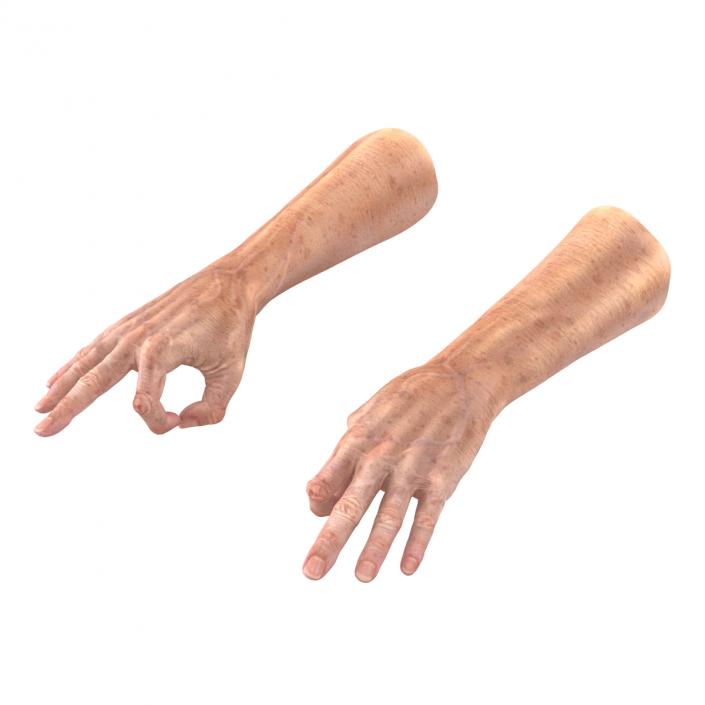 Old Man Hands 3 Pose 5 3D