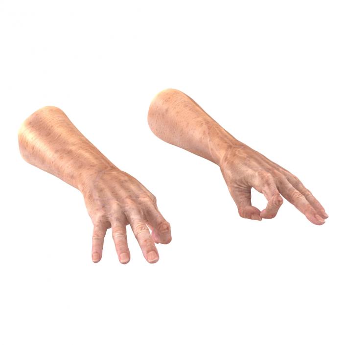 Old Man Hands 3 Pose 5 3D