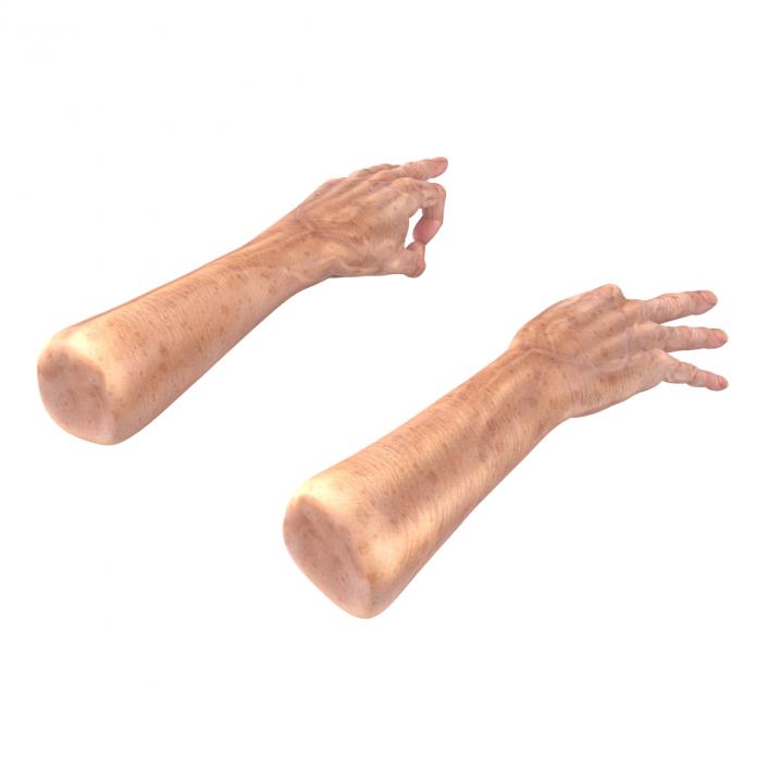 Old Man Hands 3 Pose 5 3D