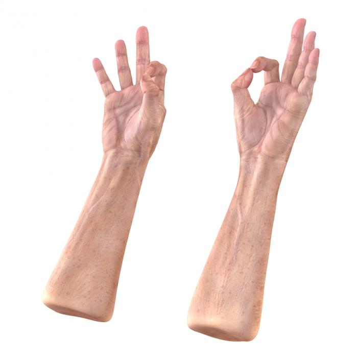 Old Man Hands 3 Pose 5 3D