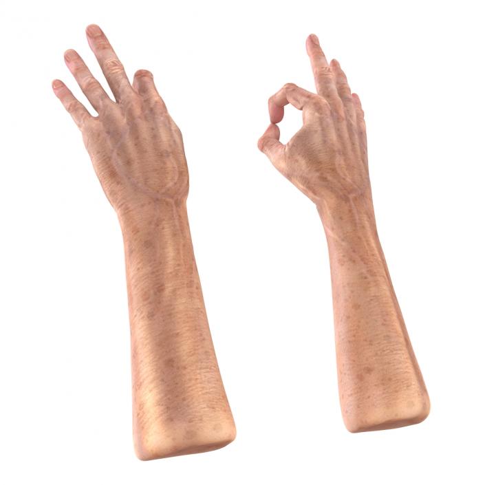 Old Man Hands 3 Pose 5 3D