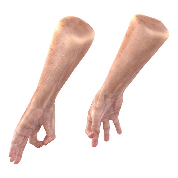 Old Man Hands 3 Pose 5 3D