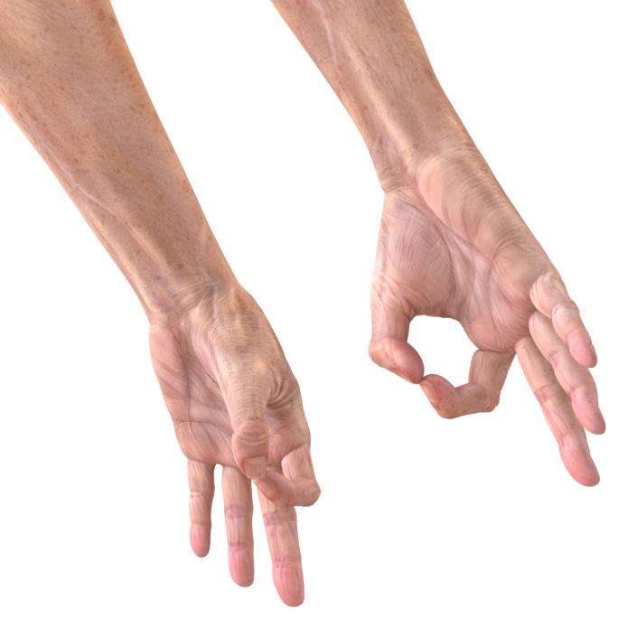 Old Man Hands 3 Pose 5 3D