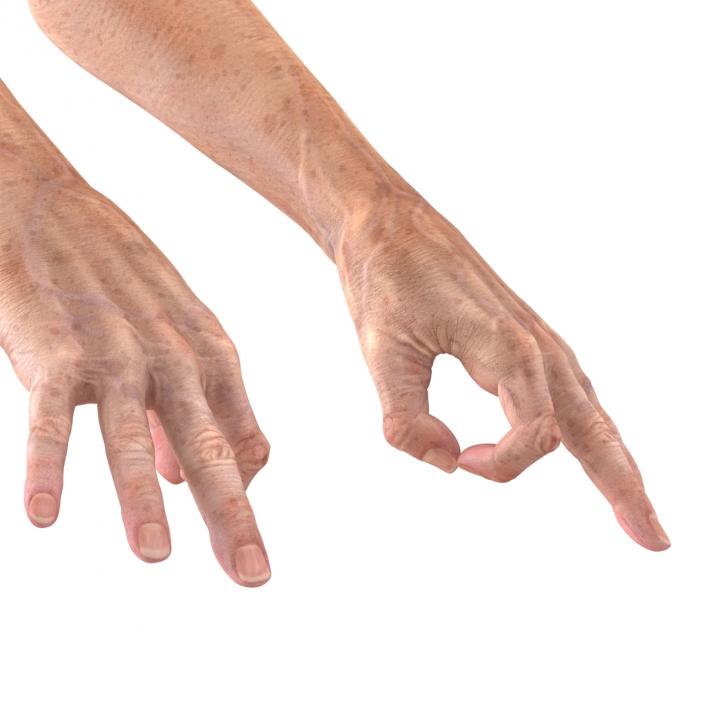 Old Man Hands 3 Pose 5 3D