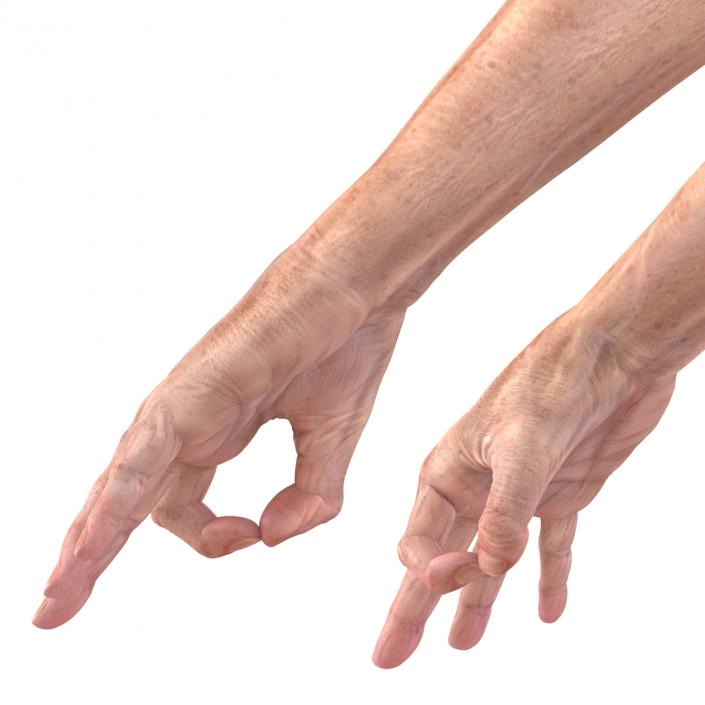 Old Man Hands 3 Pose 5 3D