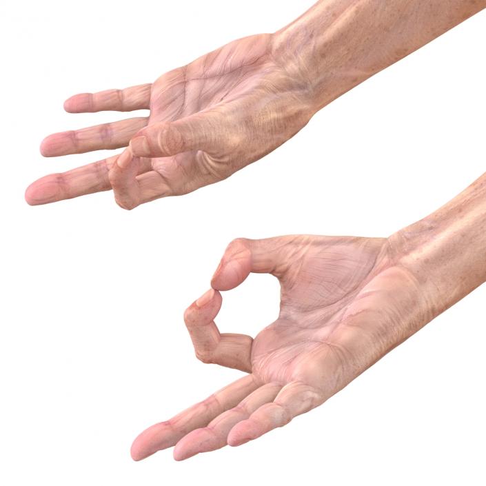 Old Man Hands 3 Pose 5 3D