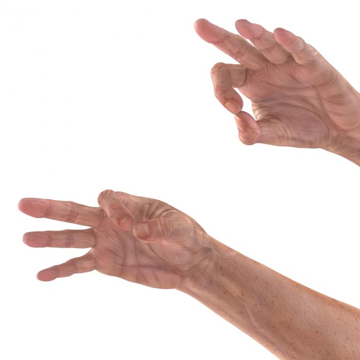 Old Man Hands 3 Pose 5 3D