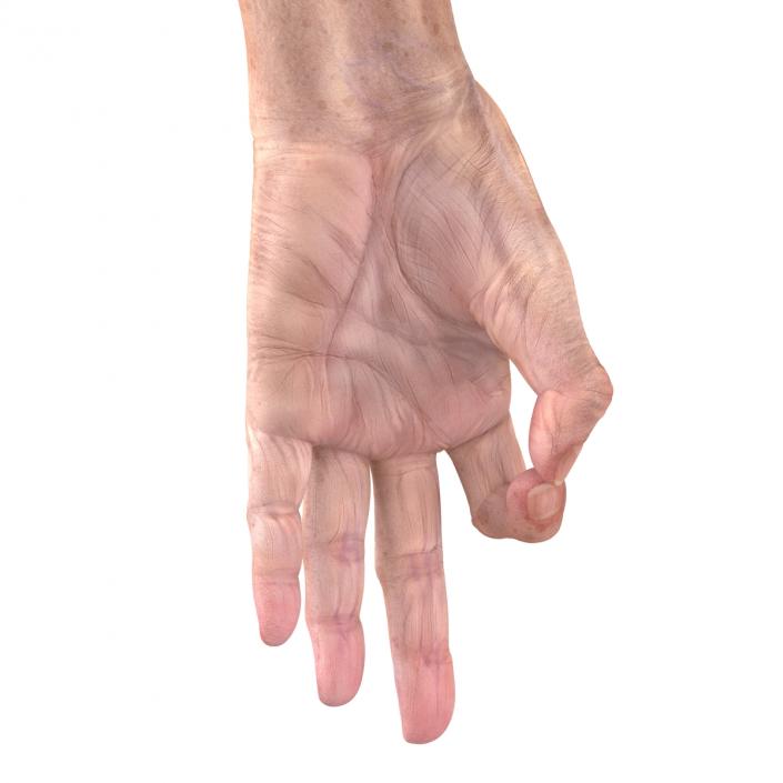 Old Man Hands 3 Pose 5 3D