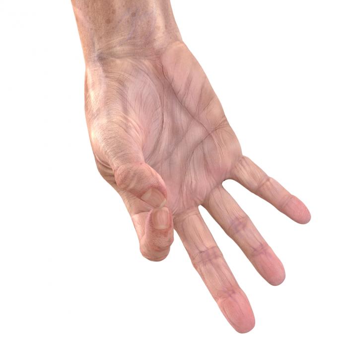 Old Man Hands 3 Pose 5 3D