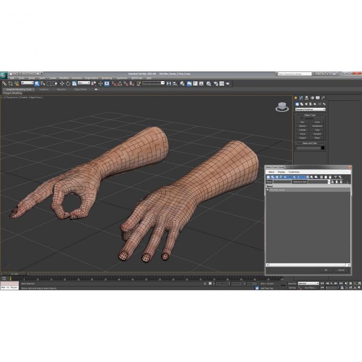 Old Man Hands 3 Pose 5 3D