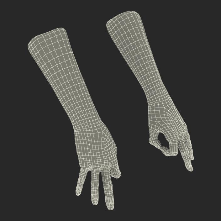 Old Man Hands 3 Pose 5 3D