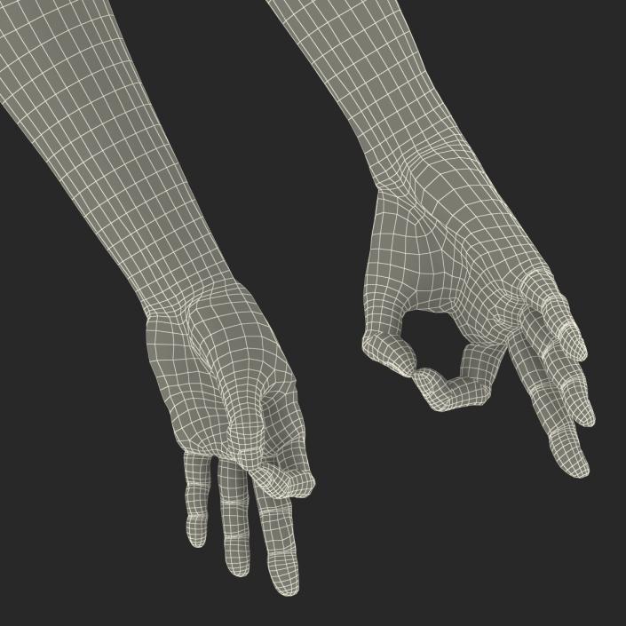 Old Man Hands 3 Pose 5 3D