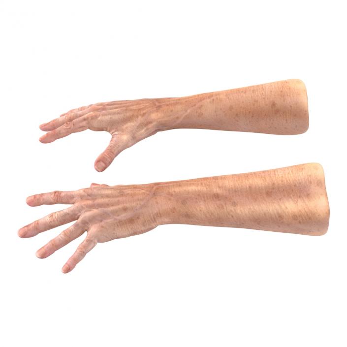 Old Man Hands 3 Pose 4 3D