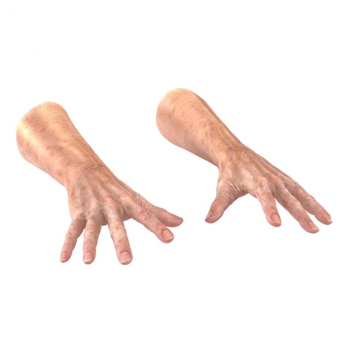 Old Man Hands 3 Pose 4 3D