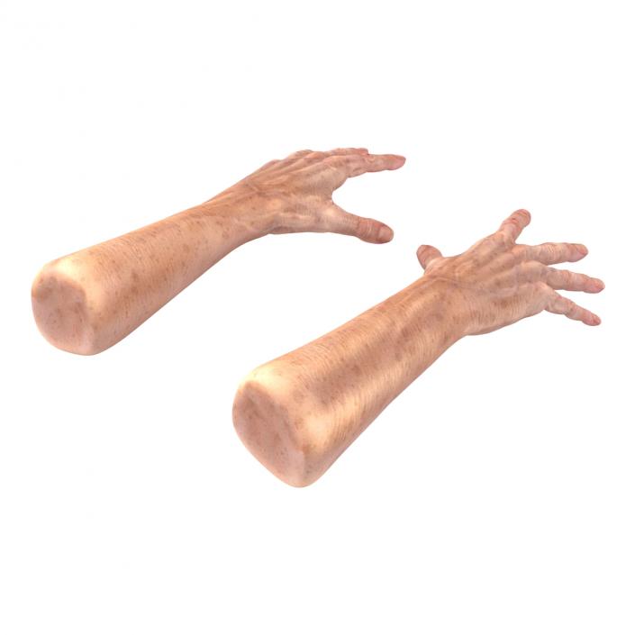 Old Man Hands 3 Pose 4 3D