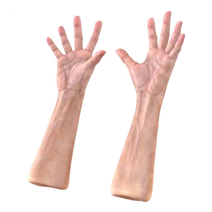 Old Man Hands 3 Pose 4 3D