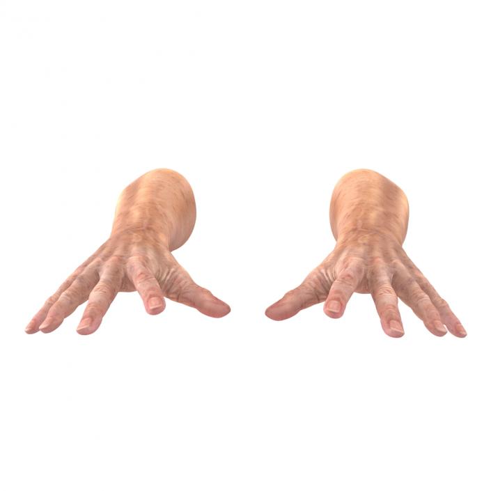 Old Man Hands 3 Pose 4 3D