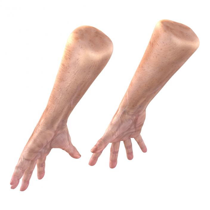 Old Man Hands 3 Pose 4 3D