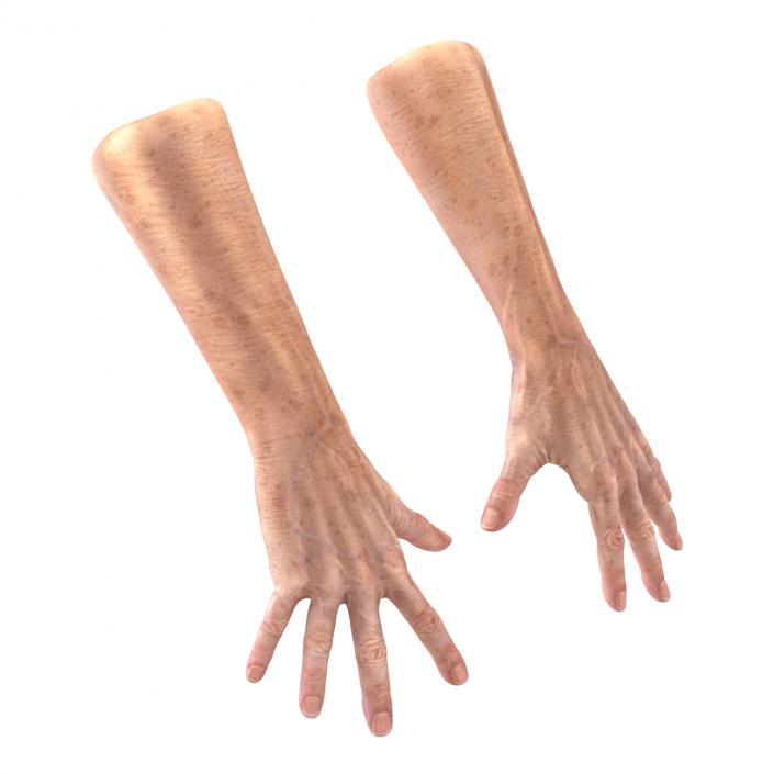 Old Man Hands 3 Pose 4 3D