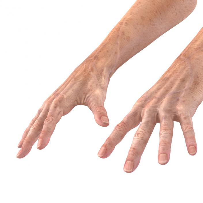 Old Man Hands 3 Pose 4 3D