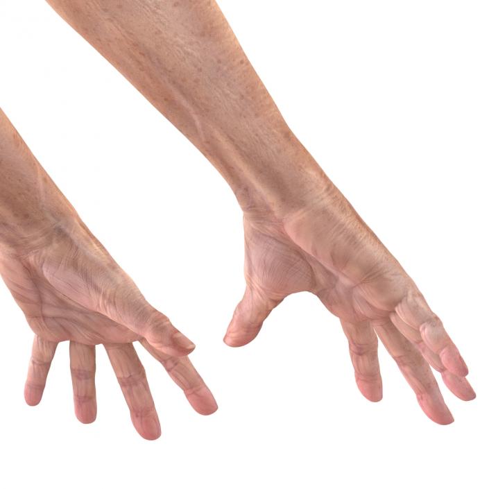 Old Man Hands 3 Pose 4 3D