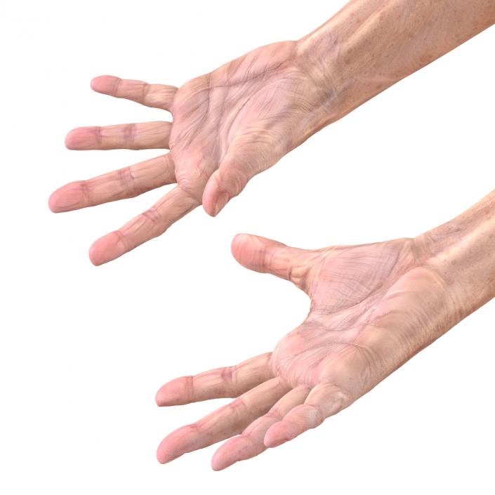 Old Man Hands 3 Pose 4 3D