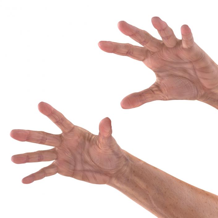 Old Man Hands 3 Pose 4 3D