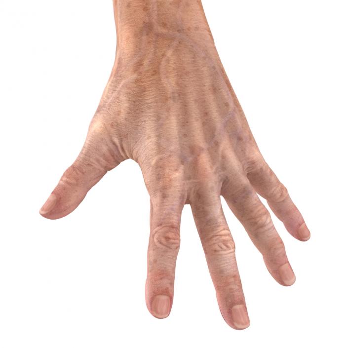 Old Man Hands 3 Pose 4 3D