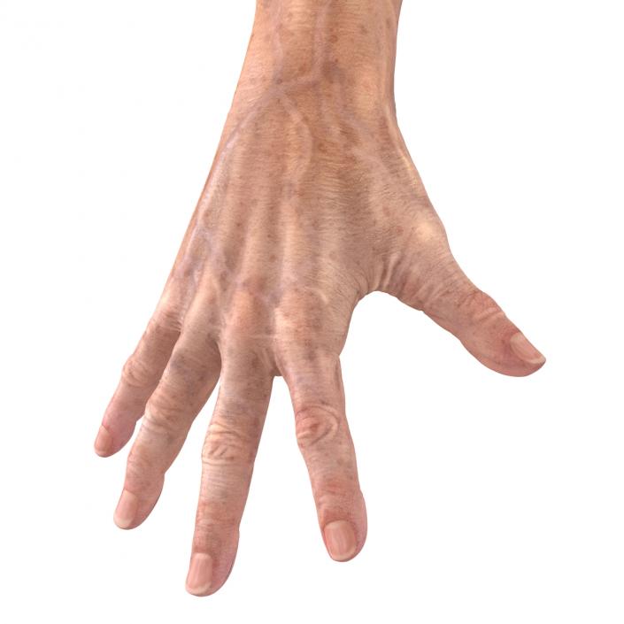 Old Man Hands 3 Pose 4 3D