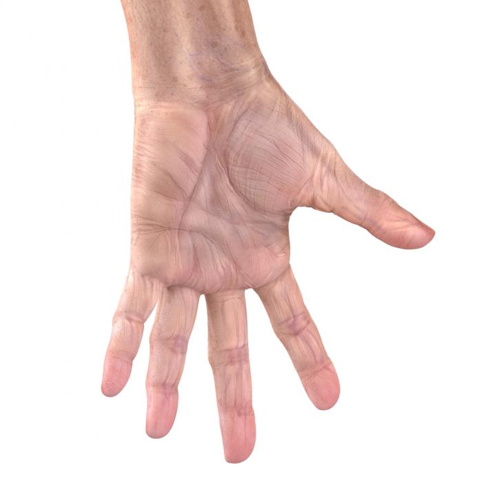 Old Man Hands 3 Pose 4 3D