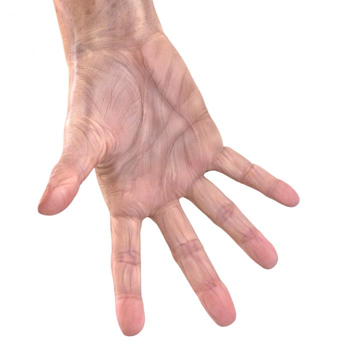 Old Man Hands 3 Pose 4 3D