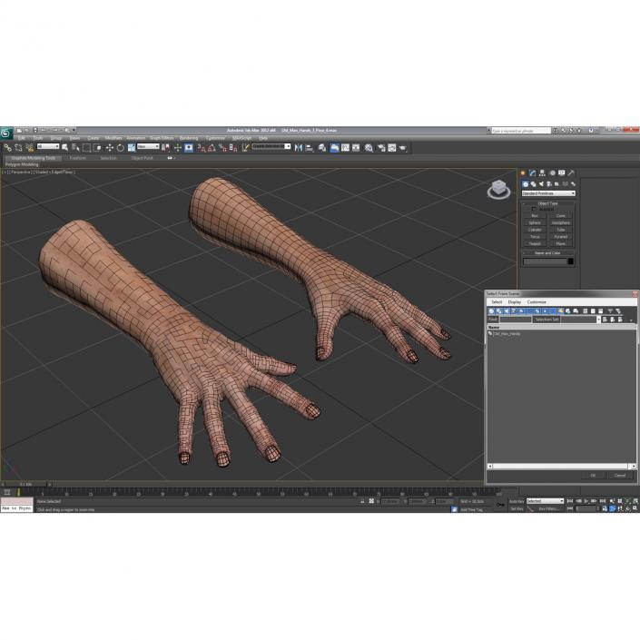 Old Man Hands 3 Pose 4 3D