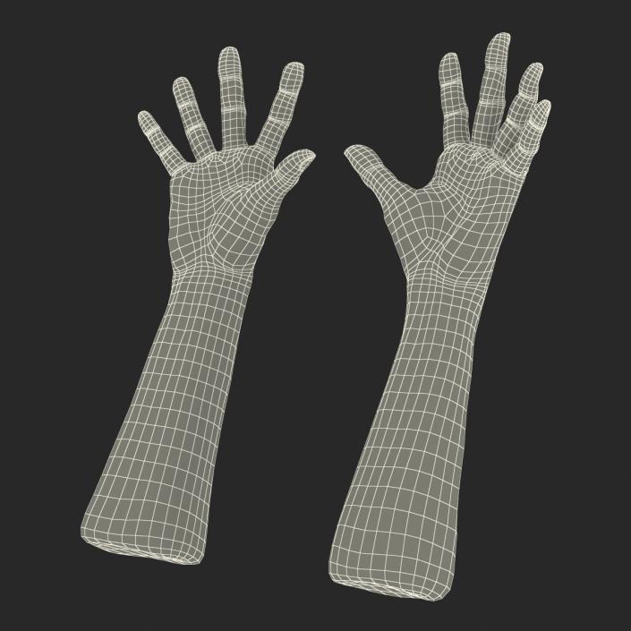 Old Man Hands 3 Pose 4 3D