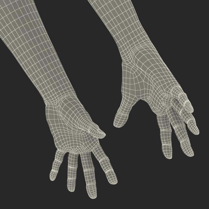 Old Man Hands 3 Pose 4 3D