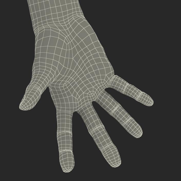 Old Man Hands 3 Pose 4 3D