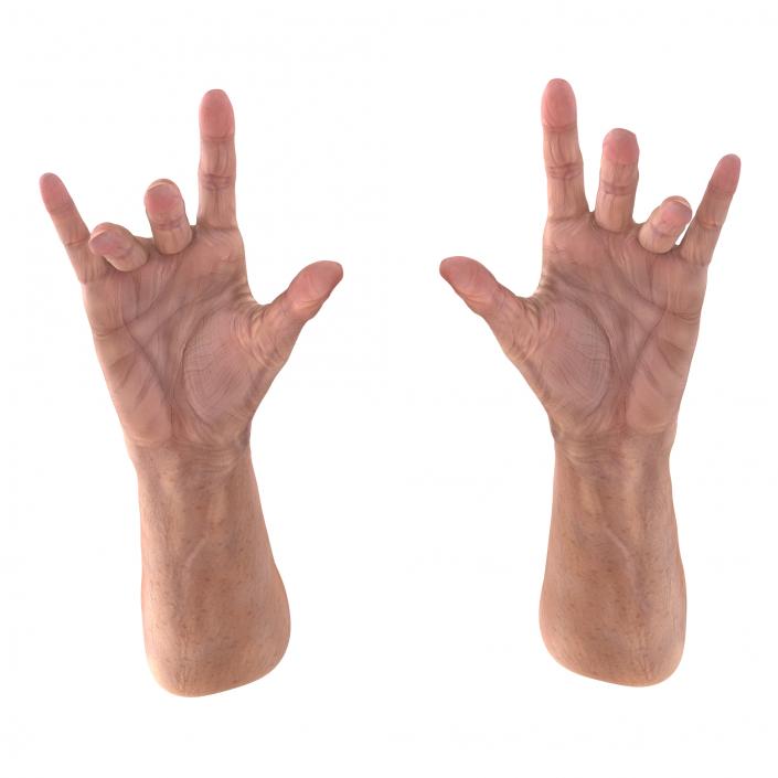 Old Man Hands 3 Pose 3 3D