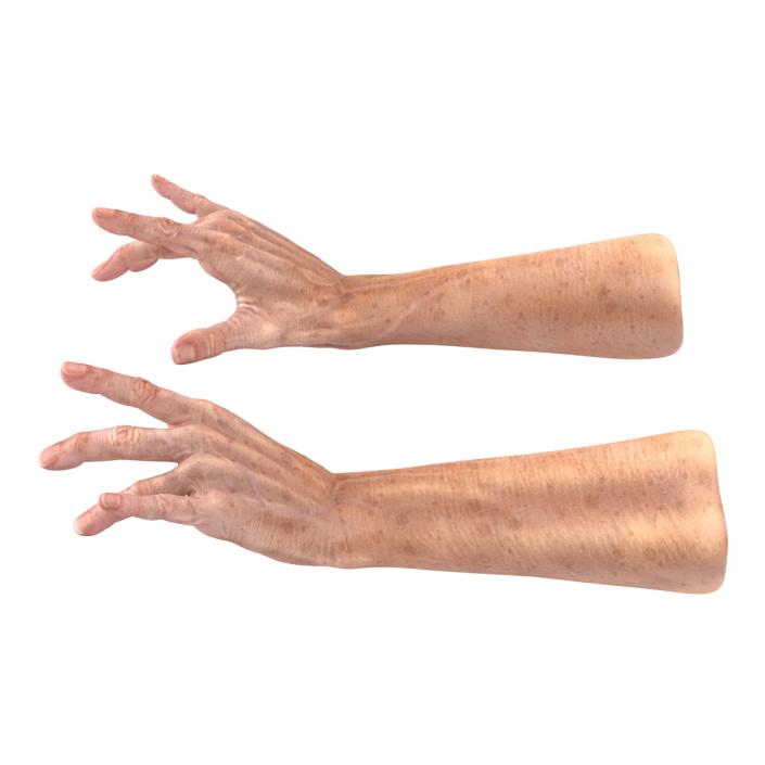 Old Man Hands 3 Pose 3 3D