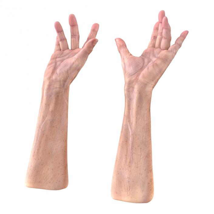 Old Man Hands 3 Pose 3 3D